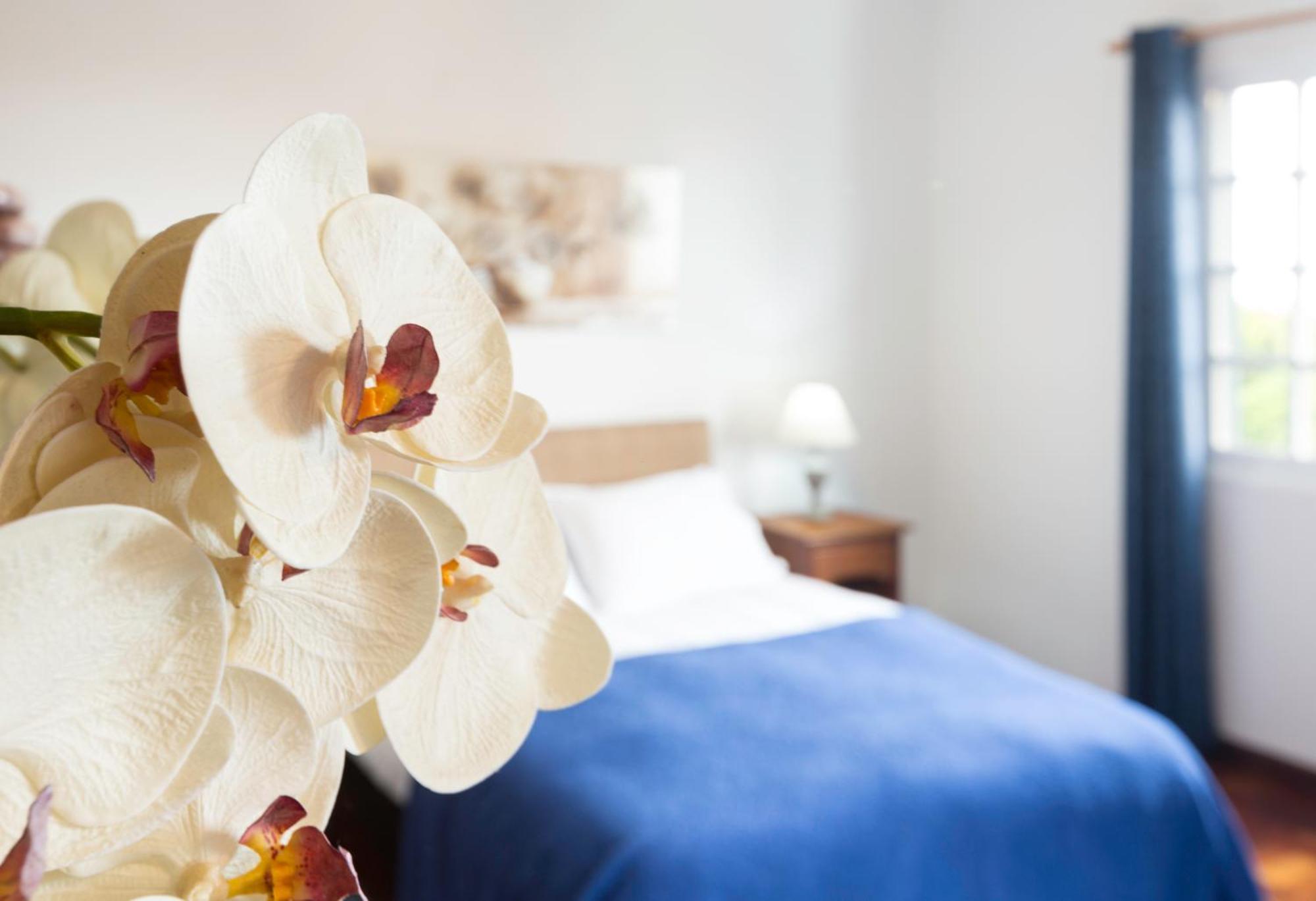 Charming Apartments In Funchal - Sao Goncalo Rum bild